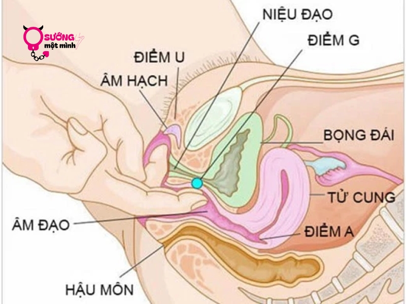 Dạo Đầu Nhẹ Nhàng Bằng Ngón Tay