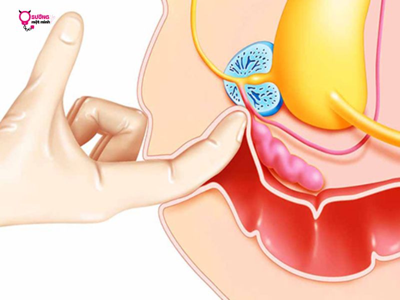 Dùng Tay Chọc Vào Vùng Kín Có Sao Không? Lời Giải Đáp 2 Dung Tay Tac Dong Vao Vung Kin Co Sao Khong
